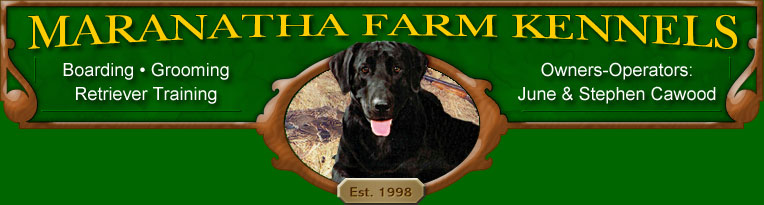 Maranatha Farm Kennels | Labrador Retrievers | Boarding | Grooming | Retriever Training | June Cawood | Stephen Cawood